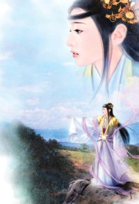 极品家丁